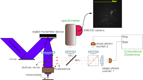 photoluminescence spectroscopy